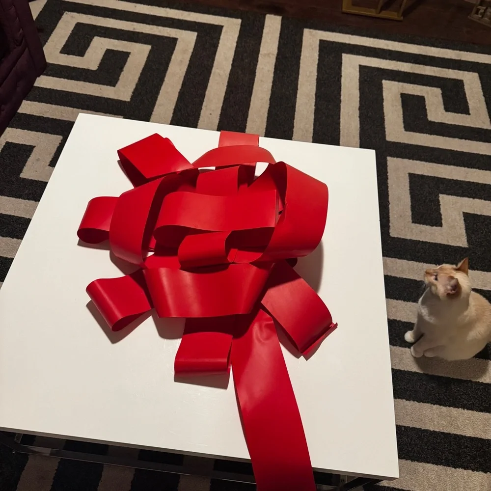 Elegant Red Ribbon Gift Box - Picture 14 of 16